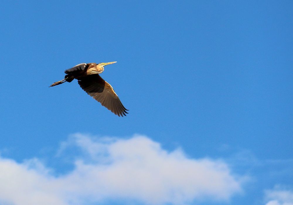 Photograph by Юрий Варюхин