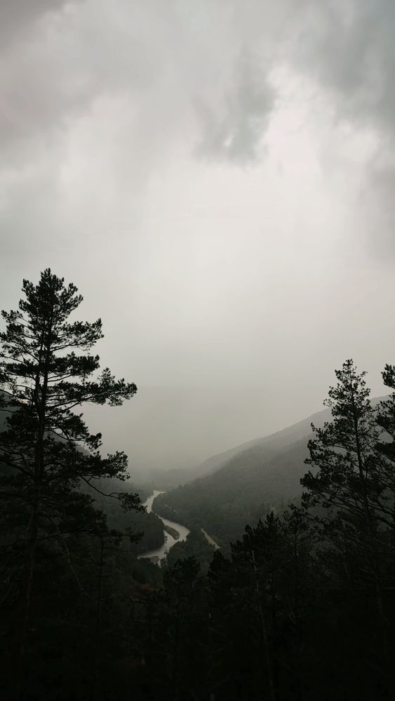 Photograph by Екатерина Кваша