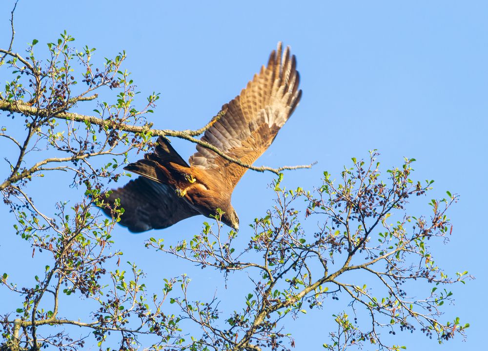 Photograph by Владимир Желтов
