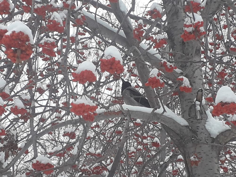 Фотография автора Амандык Кызаев