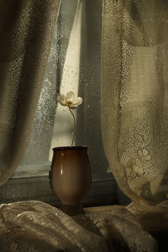 Photograph by Ольга Пуховникова