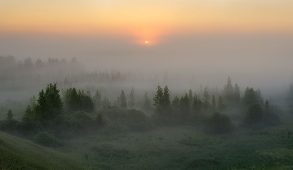 Photograph by Roman Dmitriev