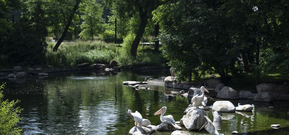 Photograph by Максим Умеренников