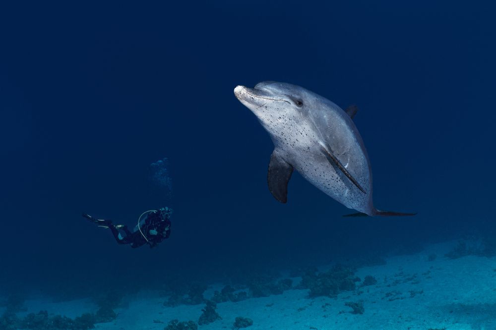 Photograph by Андрей Данильченко