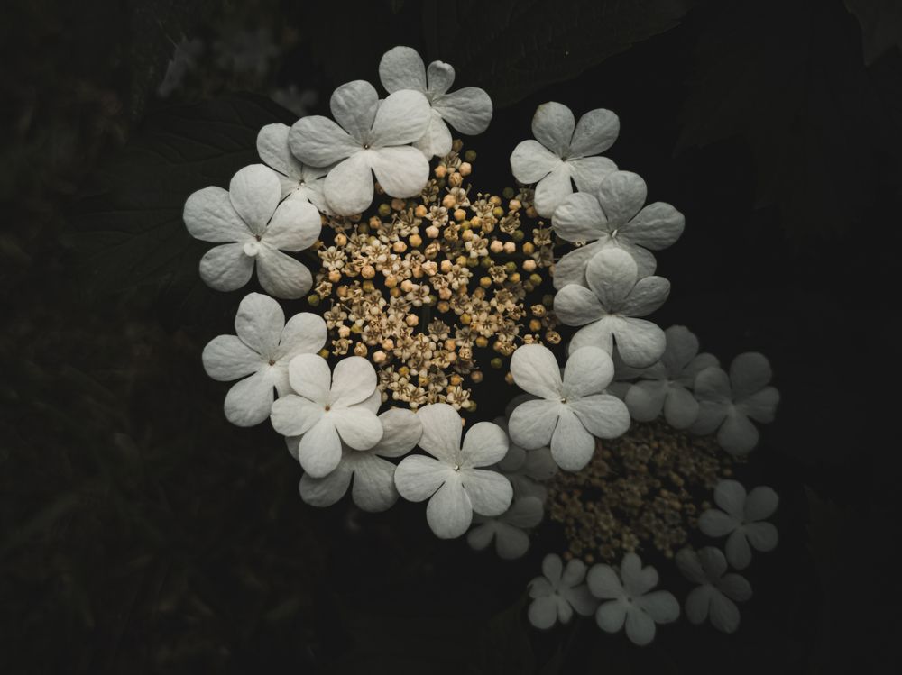 Photograph by Александр Безуглый