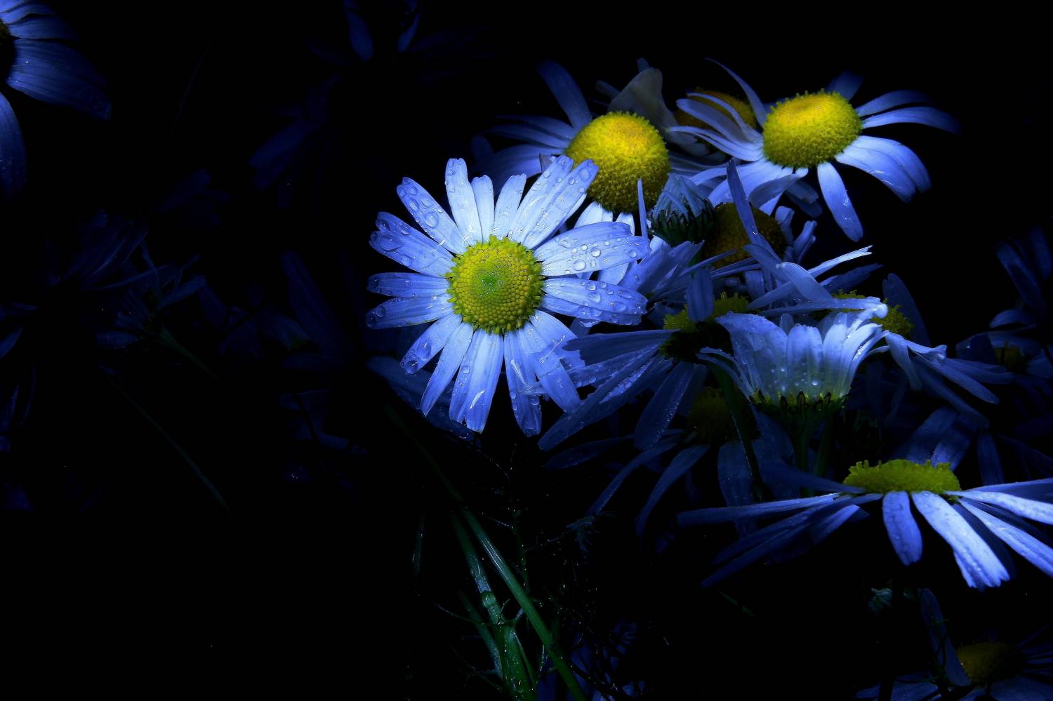 Photo #7756640