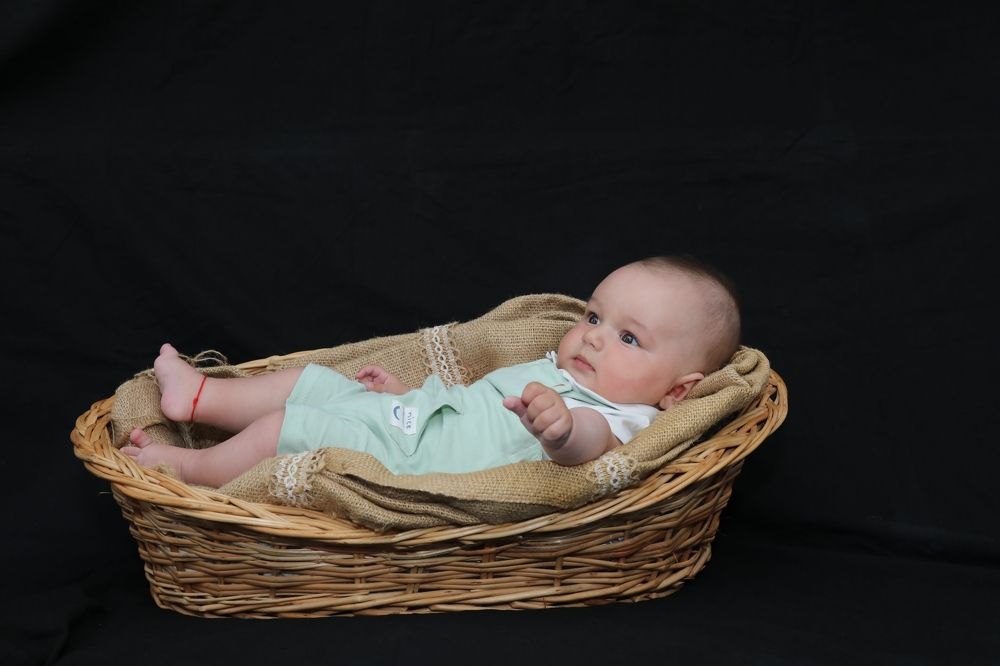 Фотография автора COMSA BOGDAN