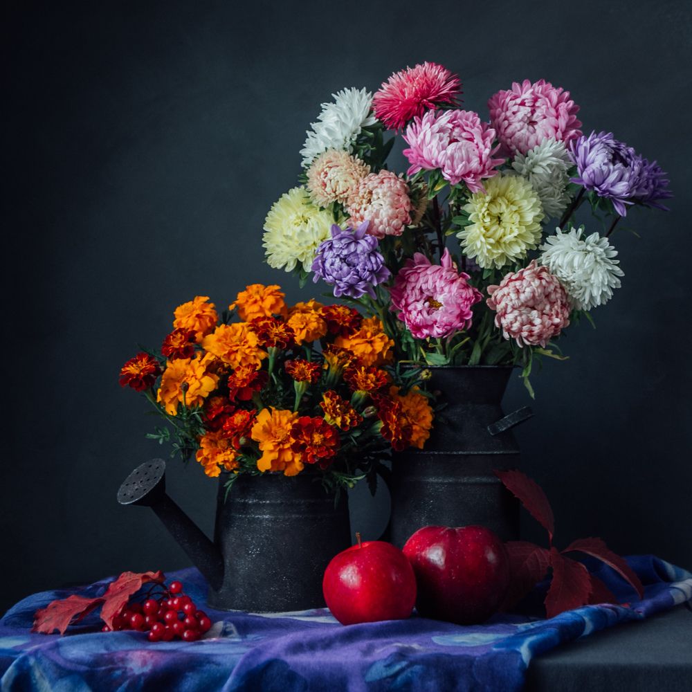 Photograph by Ранчинский Дмитрий