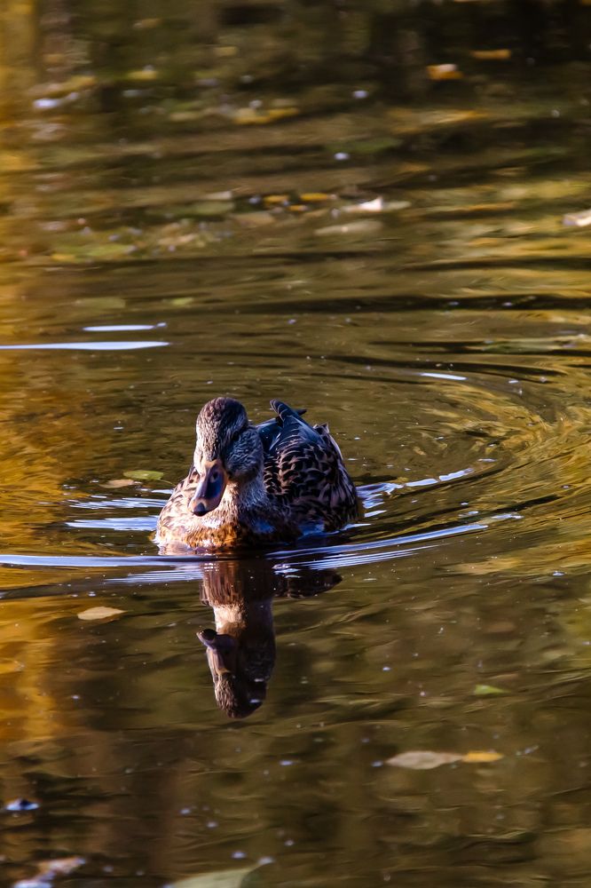 Photograph by Николай Круглов