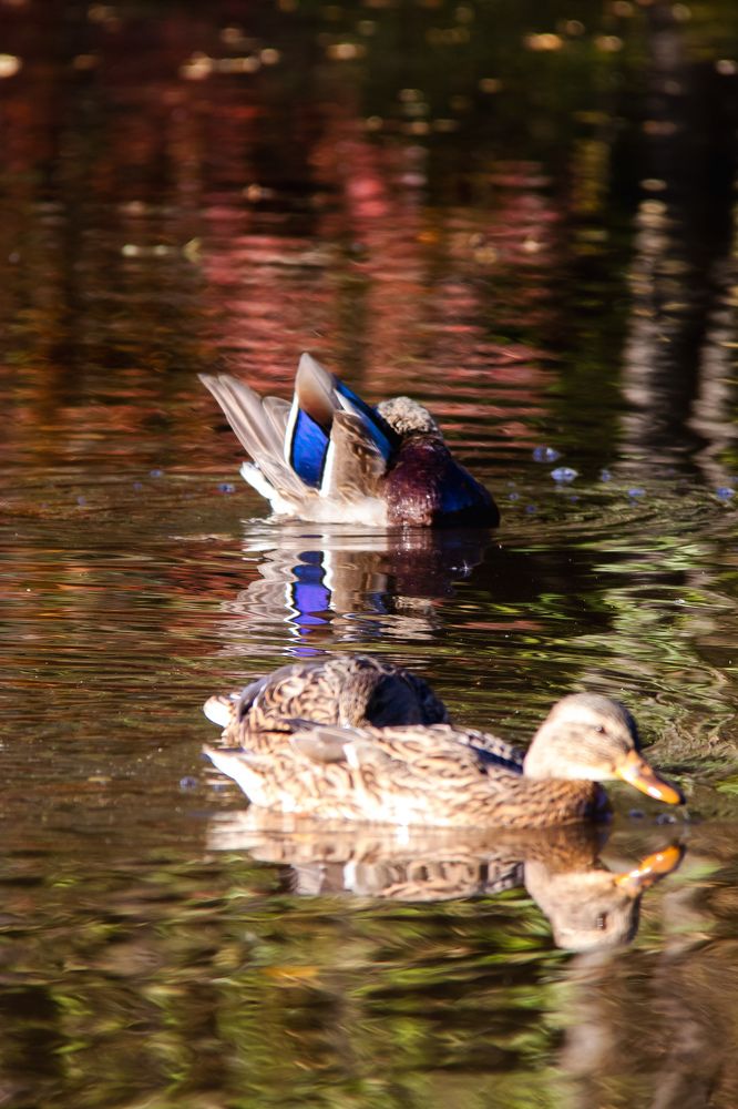 Photograph by Николай Круглов