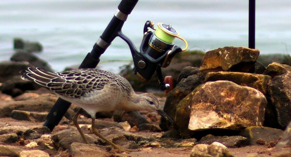 Photograph by Николай Круглов