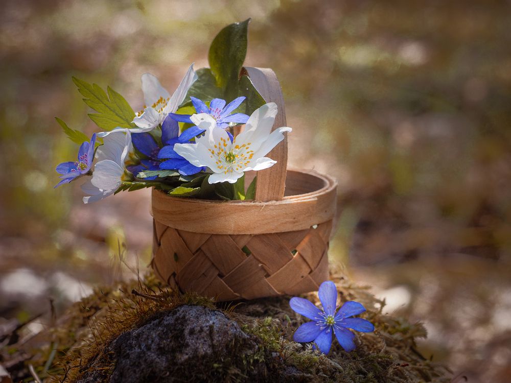 Photograph by Ольга Еженевская