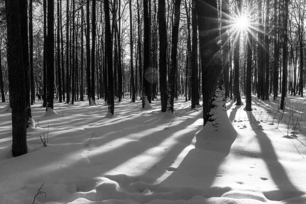 Photograph by Алена Устинович