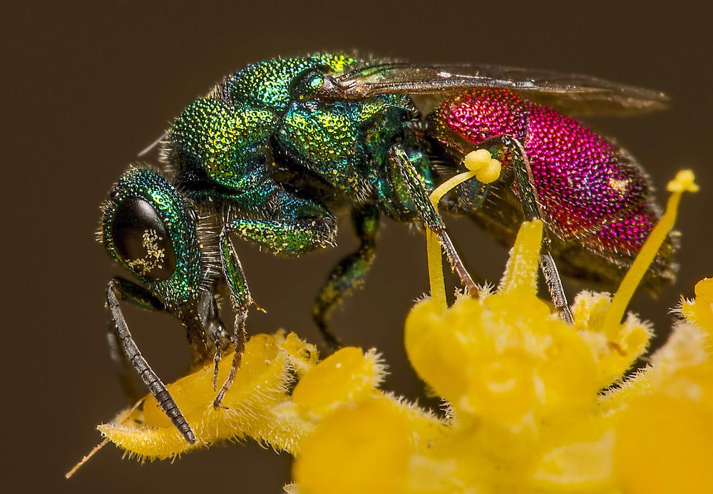 Photograph by Uygar Hüyüklü