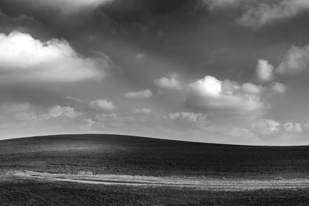 Photograph by Sajad Nori