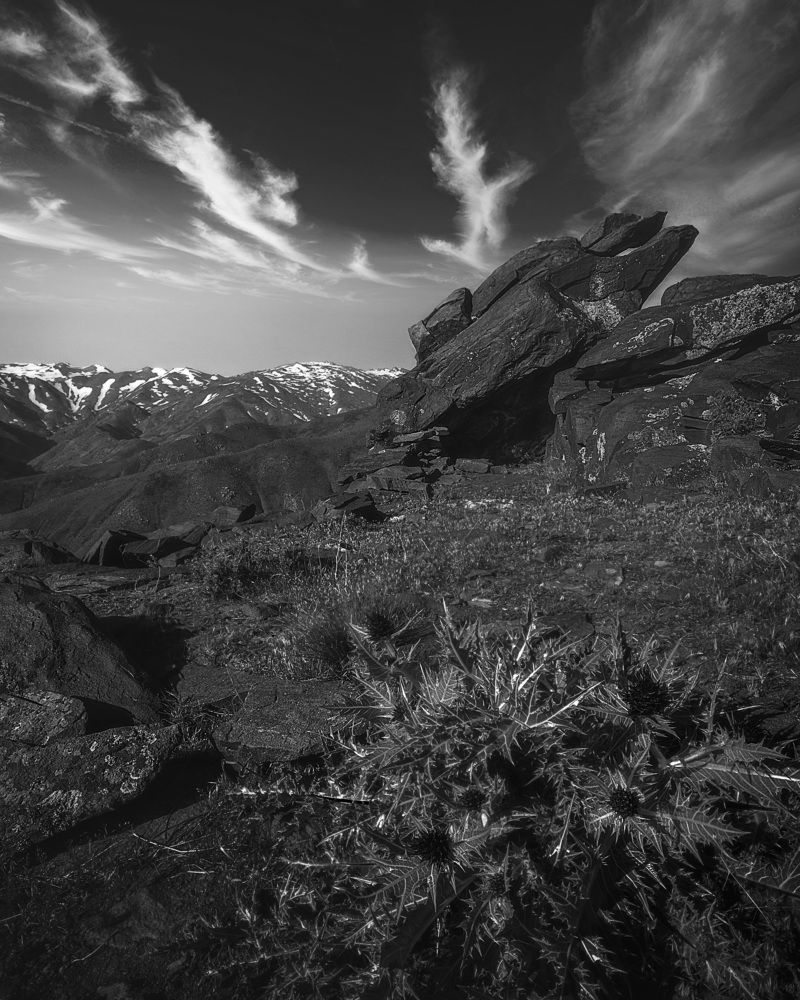 Photograph by Sajad Nori