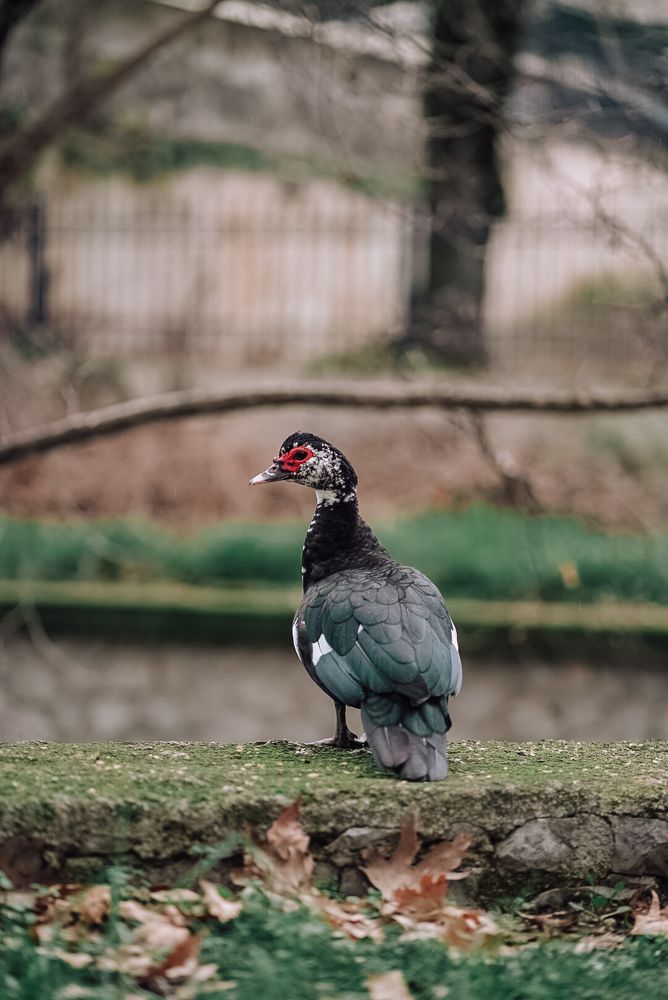 Photograph by Thoukydidis Karpodinis