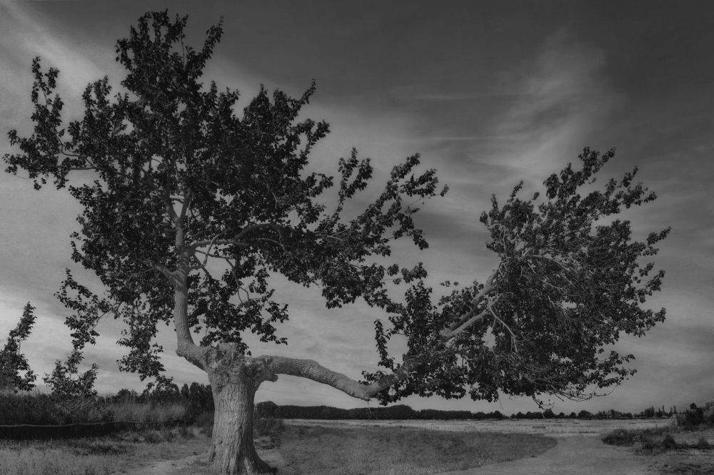 Photograph by Sajad Nori