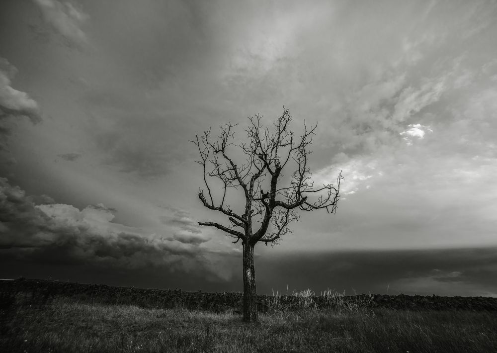 Фотография автора 
