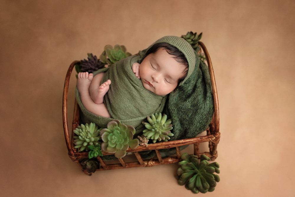 Photograph by Carla Torrico