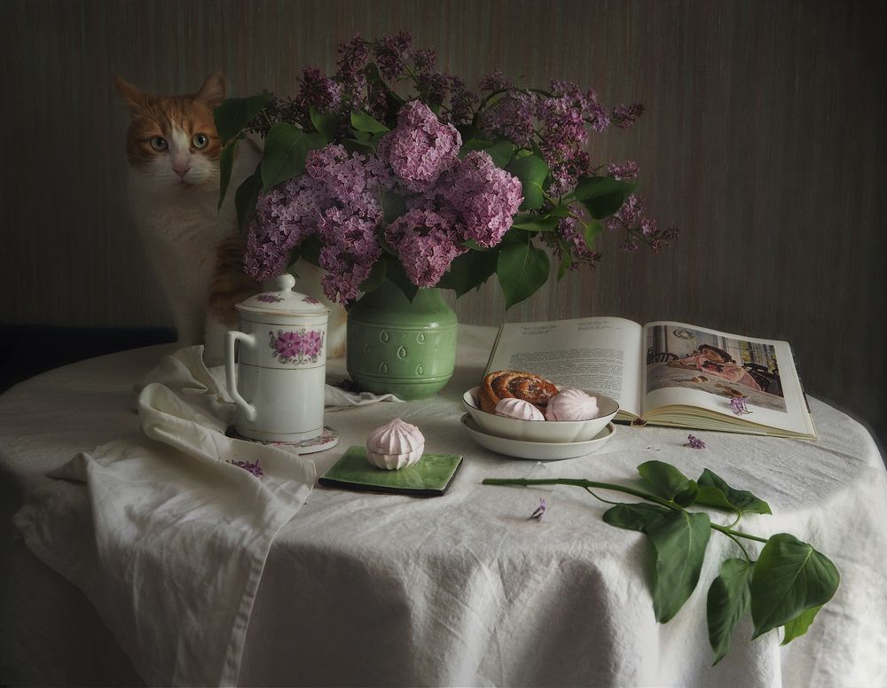 Был май, цвела сирень...