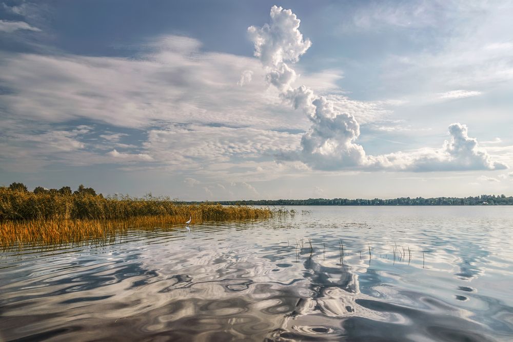 Photograph by Марина Ческис