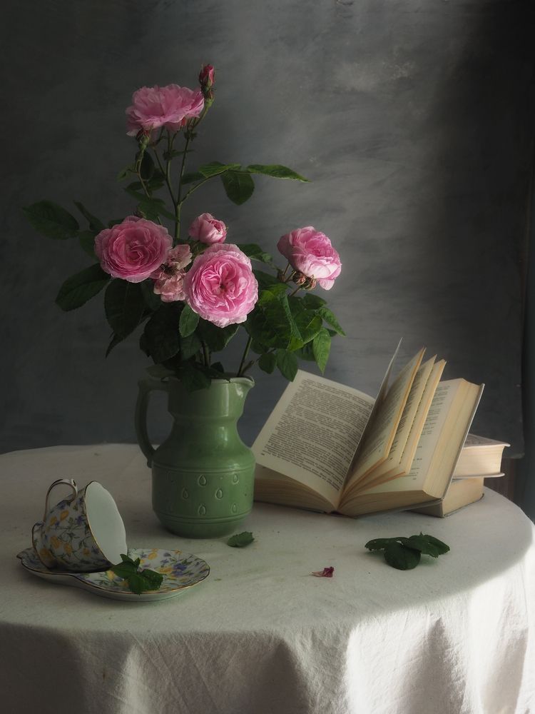 Фотография автора Vera Eremeeva