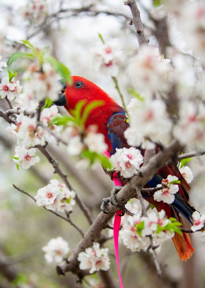 Photograph by Виктория Горловецки