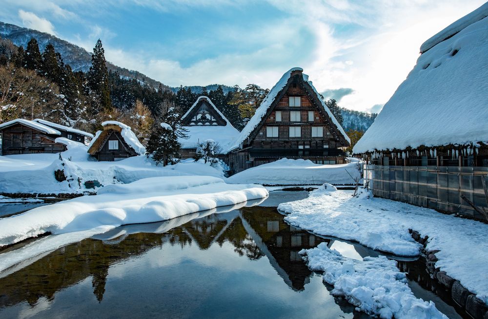 Photograph by Thu Cao