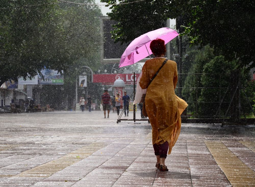 Photograph by Александр Шаварёв