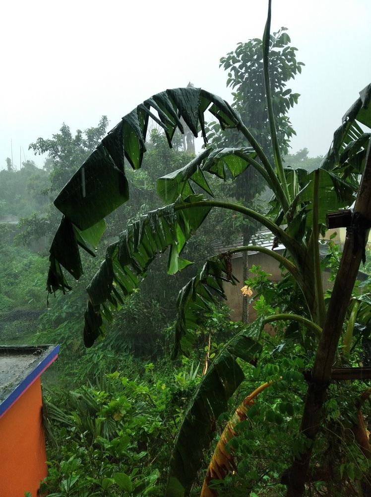 Photograph by Shyam Saha