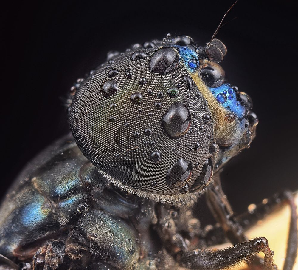 Photograph by SWEE MING YOUNG