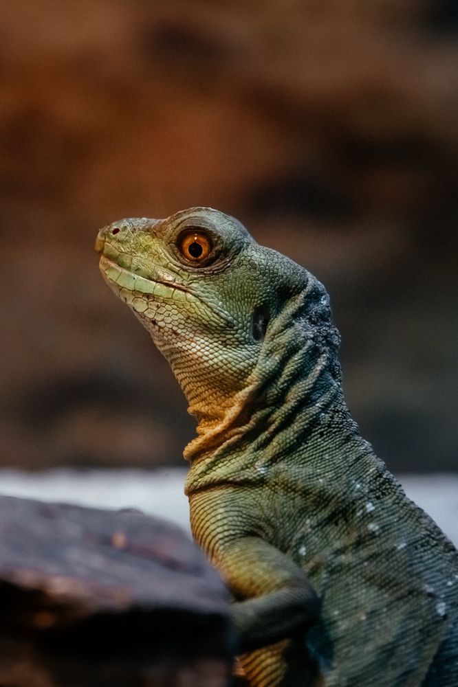 Photograph by Оксана Корчагина