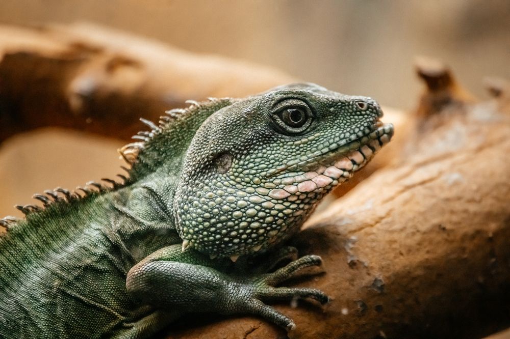 Photograph by Оксана Корчагина