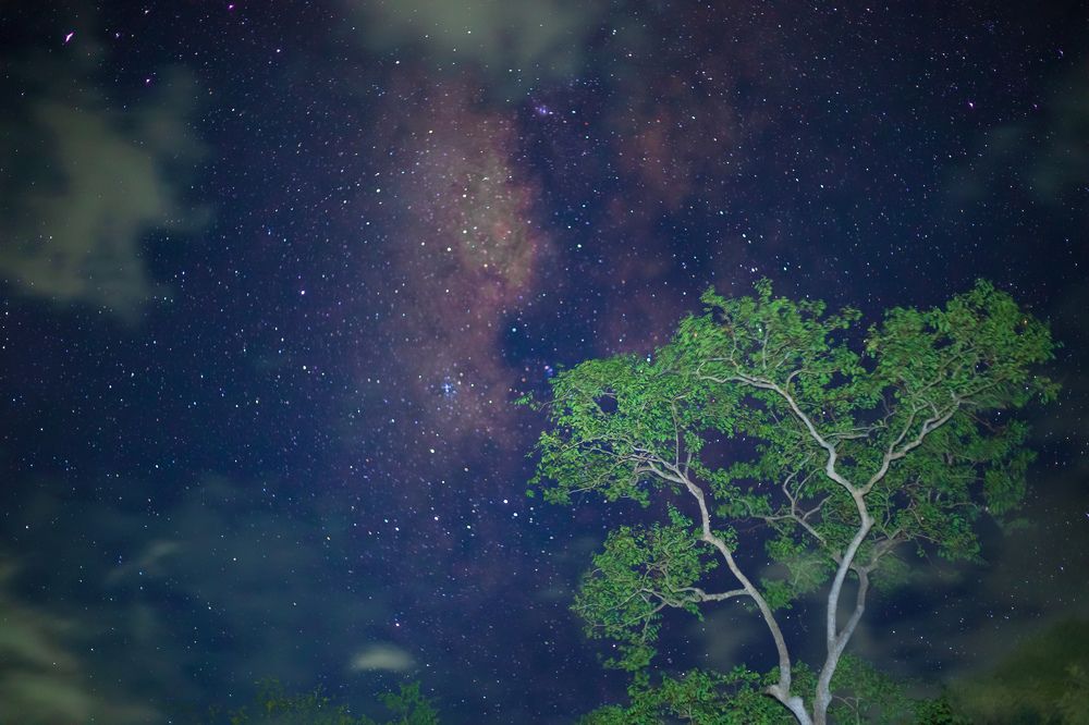 Photograph by Vivek Sundaram