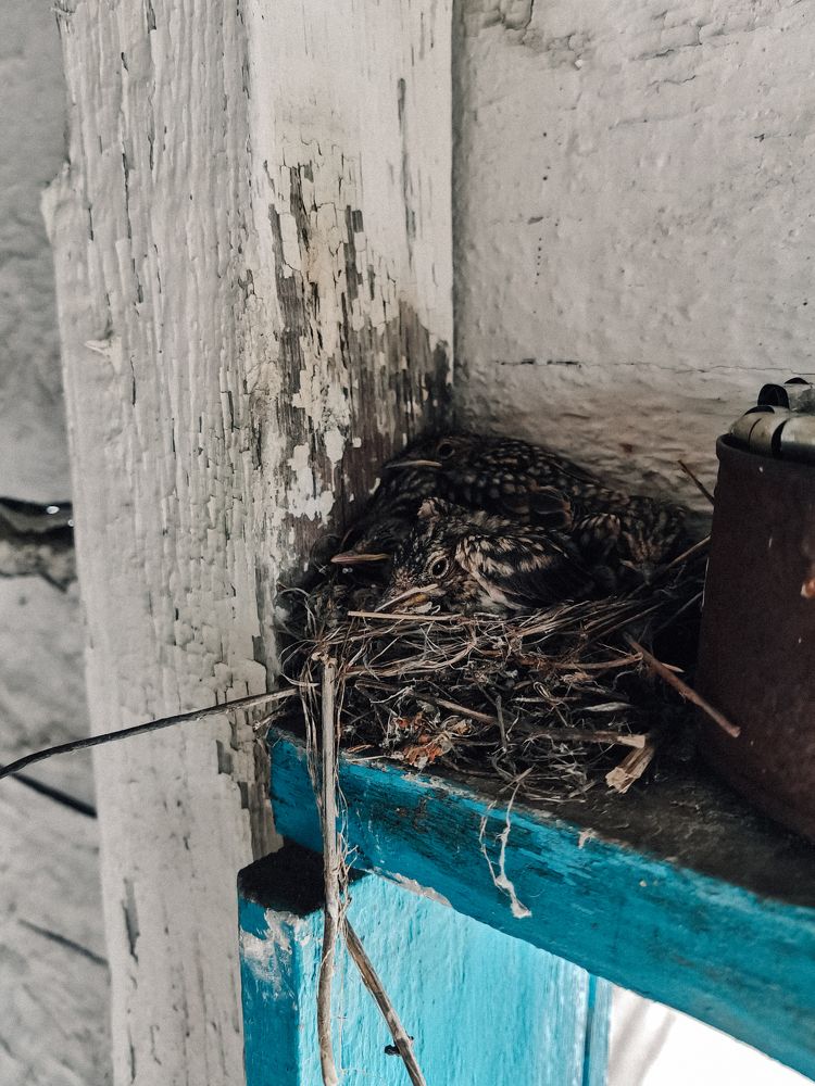 Photograph by Данил Батурин