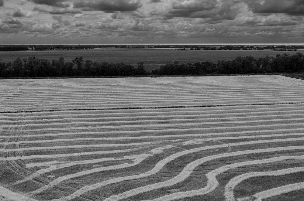 Photograph by Редько Александр