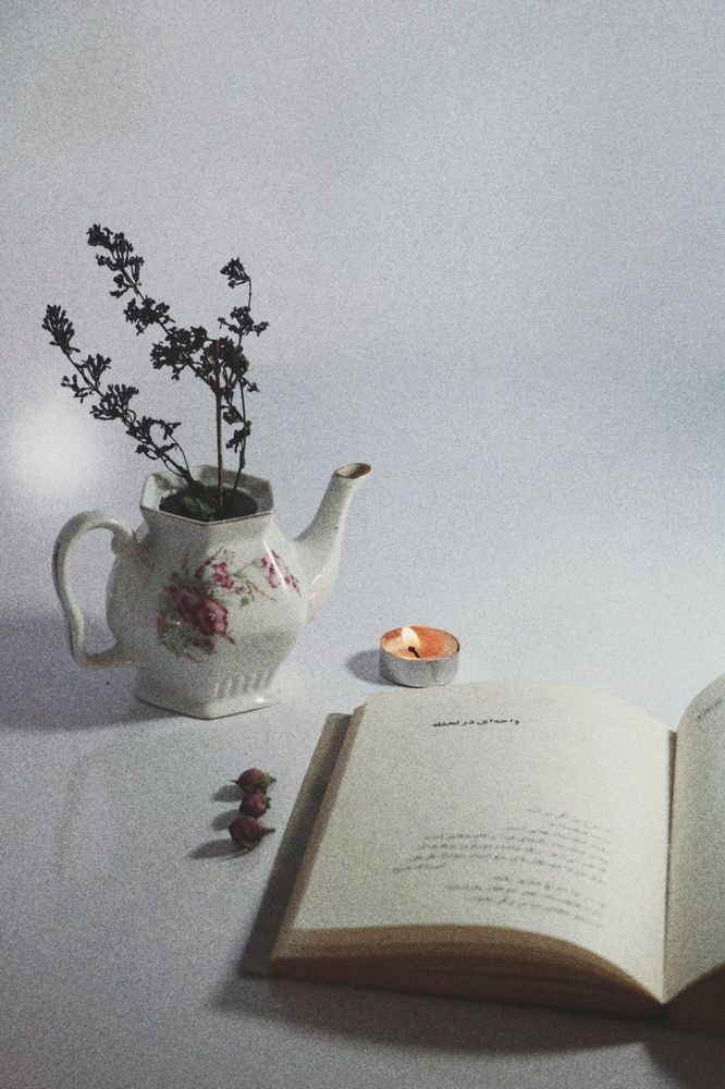 Photograph by Sara Karimi