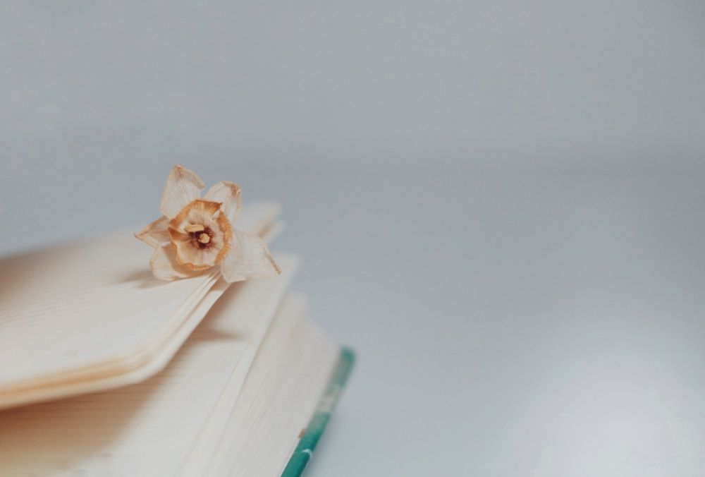 Photograph by Sara Karimi