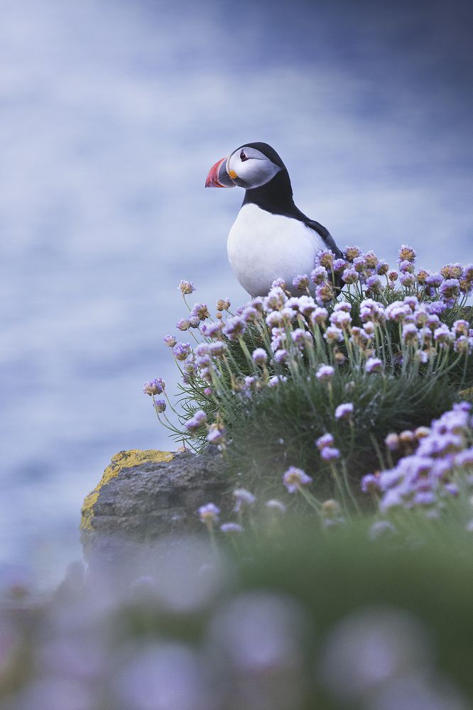 Photograph by Davide Giannetti