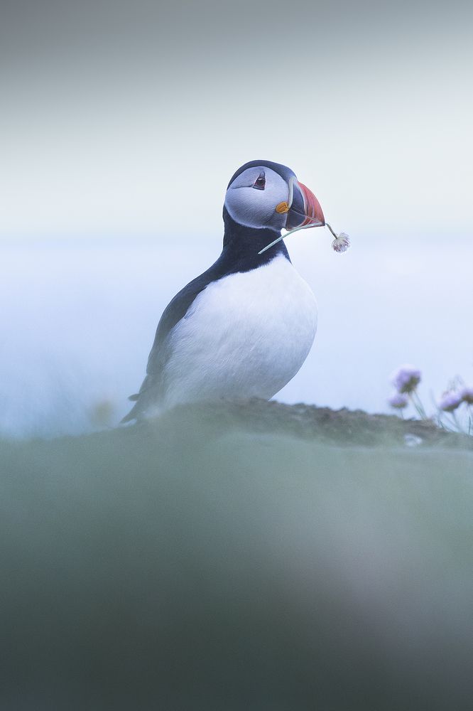 Photograph by Davide Giannetti