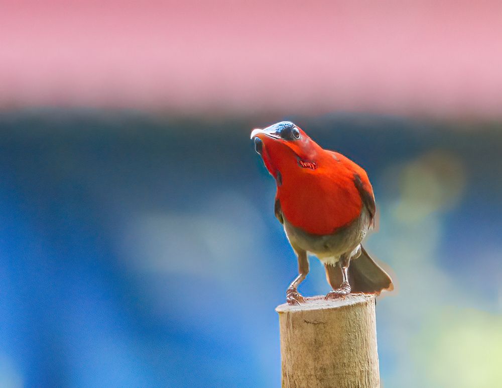 Фотография автора Trần Minh Thìn