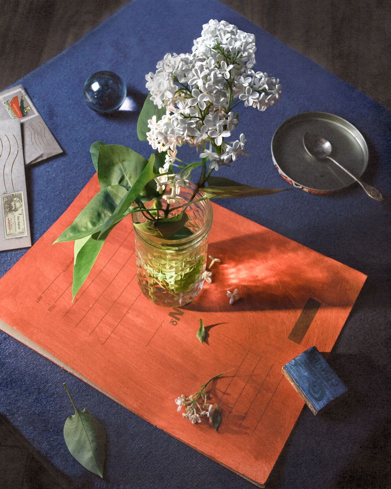 Фотография автора Elena Kulakova