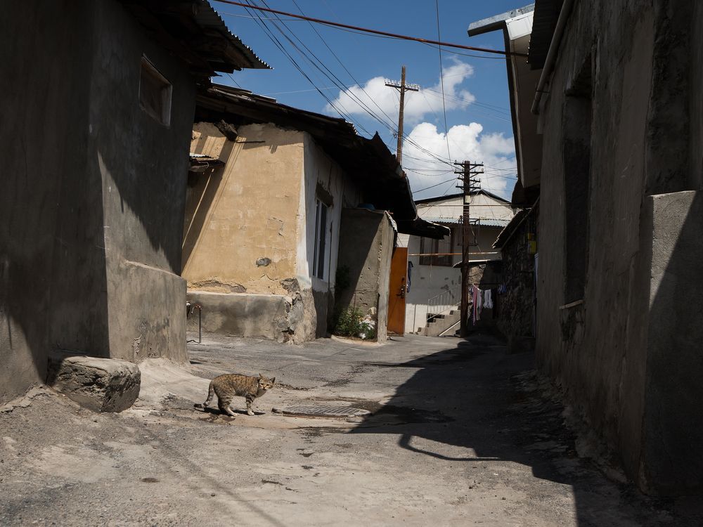 Photograph by Владислав Михайлов