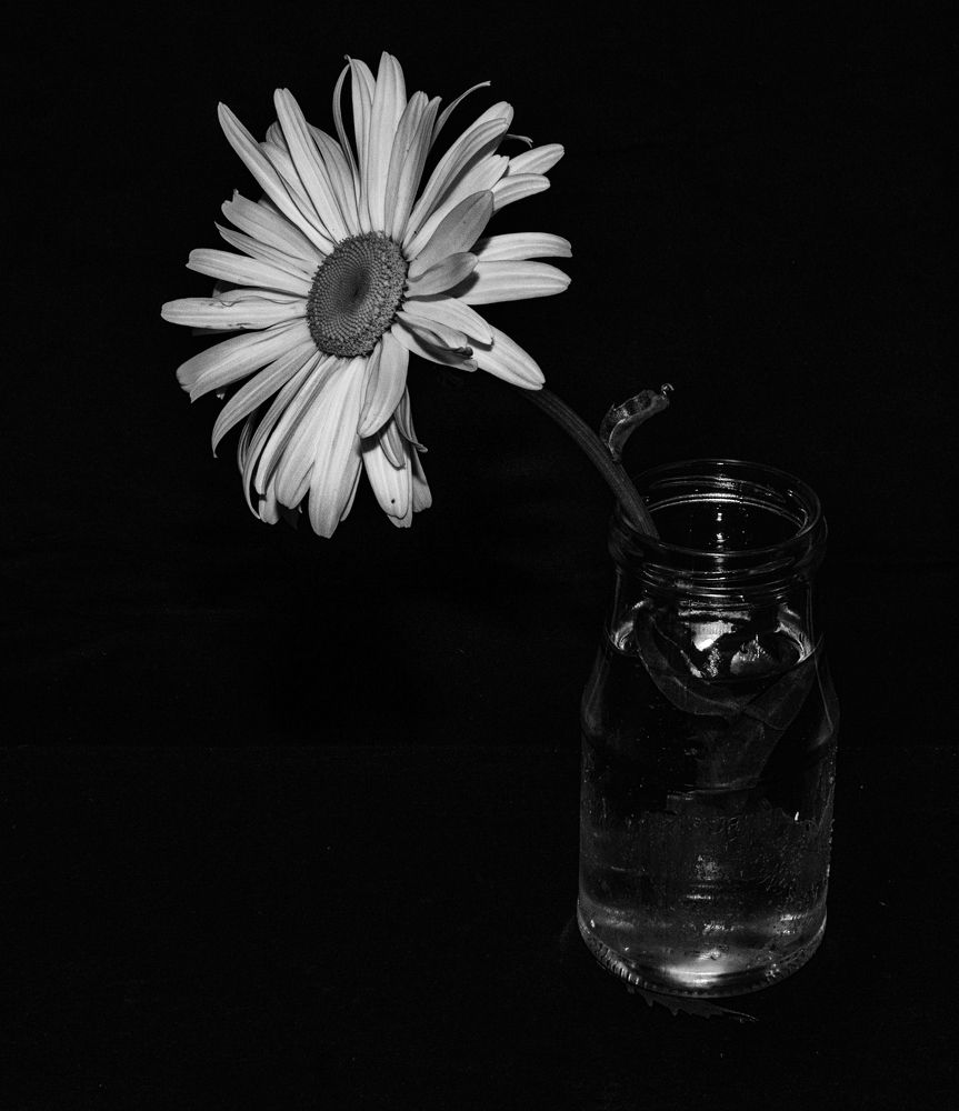 Photograph by Светлана Рыбалко