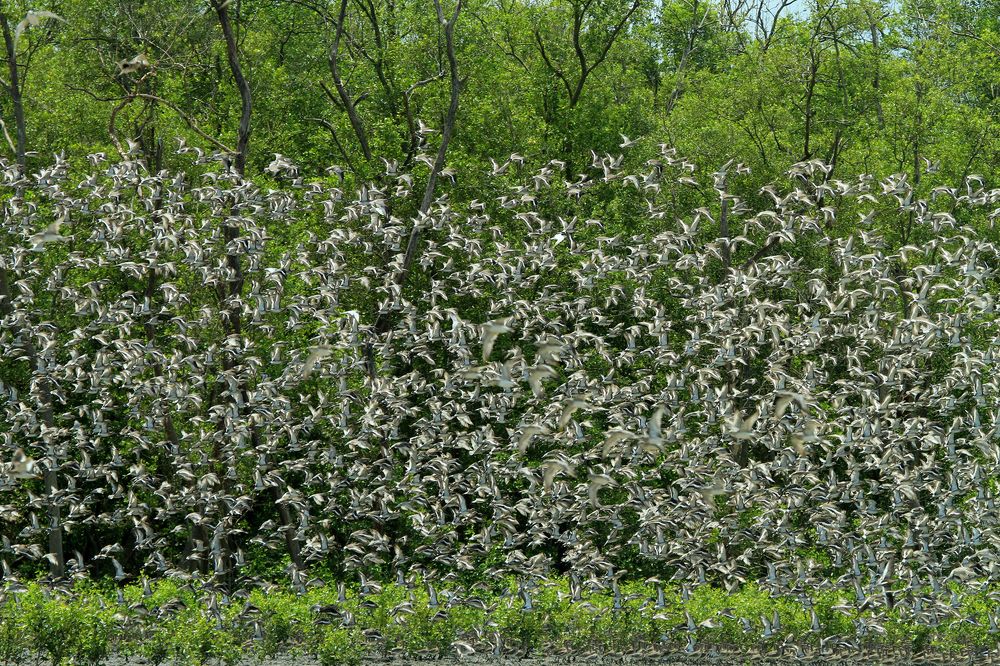 Photograph by Domi Yanto