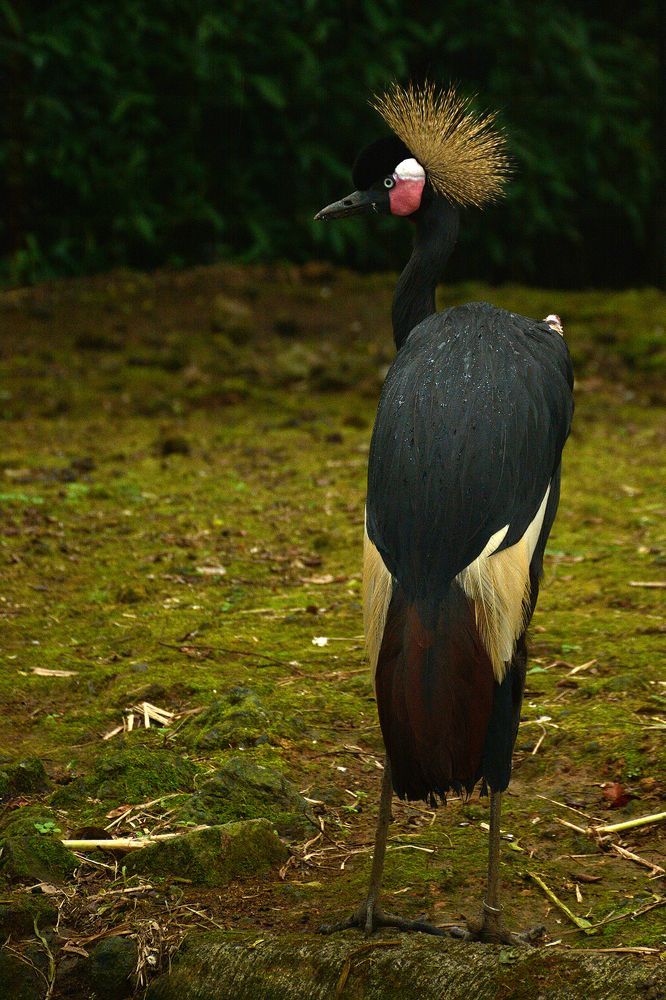 Photograph by Domi Yanto