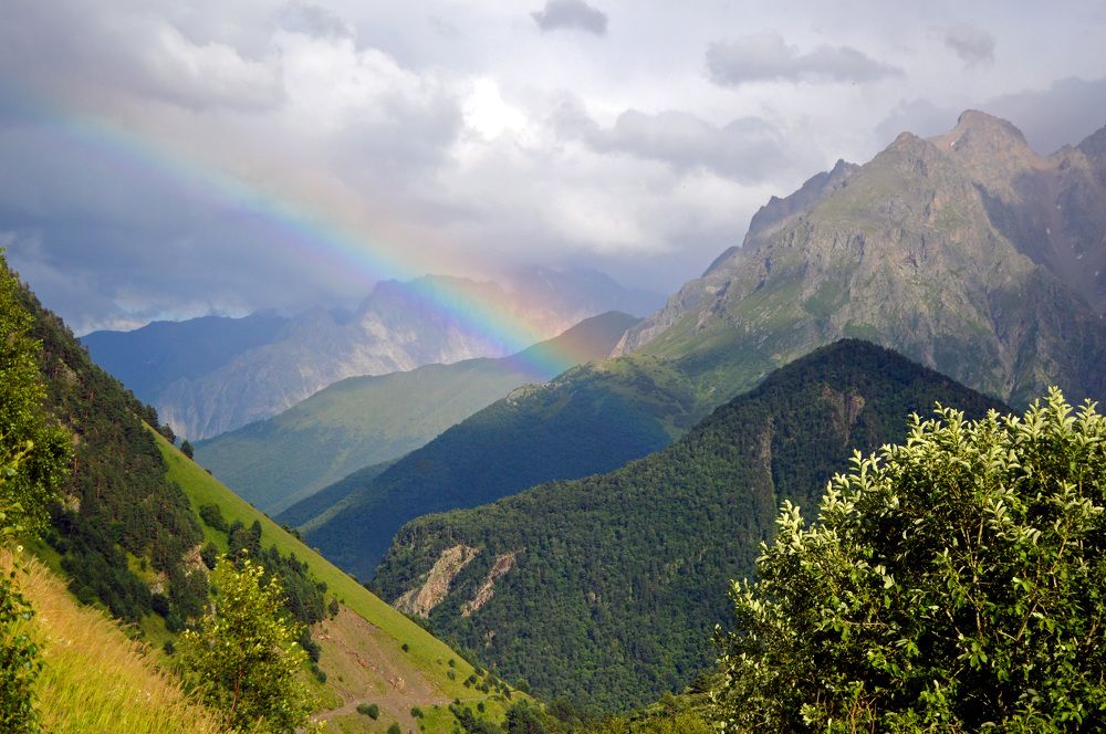 Photograph by Darya Stepanova