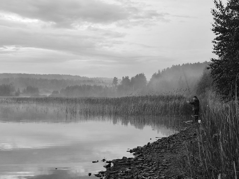 Photograph by Юлия Гинтер