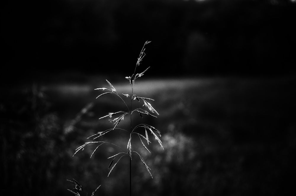 Photograph by Даниил Марков